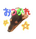 maron.0419（個別スタンプ：4）