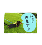 maron.0419（個別スタンプ：17）