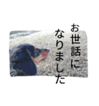 maron.0419（個別スタンプ：26）