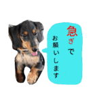 maron.0419（個別スタンプ：32）