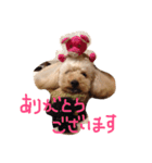 マロンのつぶやき（個別スタンプ：8）