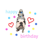 Frenchbulldogbrotherssticker（個別スタンプ：10）