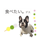 Frenchbulldogbrotherssticker（個別スタンプ：17）