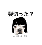 Frenchbulldogbrotherssticker（個別スタンプ：18）