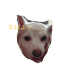 ふうこ♡（個別スタンプ：2）