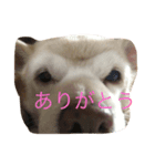 ふうこ♡（個別スタンプ：6）