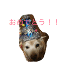 ふうこ♡（個別スタンプ：7）