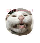 にいにとちびちゃん（個別スタンプ：2）