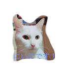 にいにとちびちゃん（個別スタンプ：5）