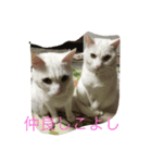にいにとちびちゃん（個別スタンプ：7）