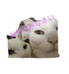 にいにとちびちゃん（個別スタンプ：8）