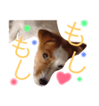 つっちーさん4（個別スタンプ：5）