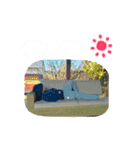 津田家（個別スタンプ：7）