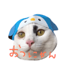 ねこのなるちゃんすたんぺ（個別スタンプ：5）
