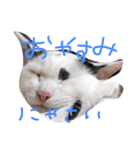 ねこのなるちゃんすたんぺ（個別スタンプ：7）