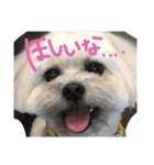 どろ（個別スタンプ：5）