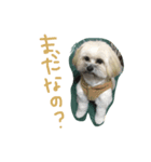 どろ（個別スタンプ：7）