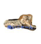 えるくん（個別スタンプ：1）