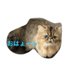えるくん（個別スタンプ：2）