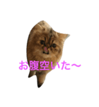 えるくん（個別スタンプ：5）