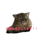 えるくん（個別スタンプ：6）