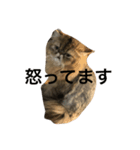 えるくん（個別スタンプ：8）