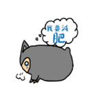 Gray pu pu（個別スタンプ：12）