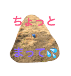 chihuahua1005（個別スタンプ：12）