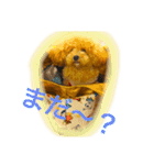 トイプードルのころんです（個別スタンプ：15）