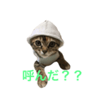 ニャン詰めスタンプ（個別スタンプ：3）