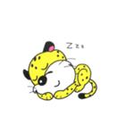 チーターくん（個別スタンプ：7）