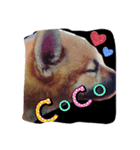 愛犬ココアの一日♡（個別スタンプ：3）