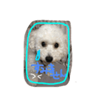 ✳︎おてんばデール✳︎（個別スタンプ：12）
