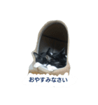 オコマツ（個別スタンプ：2）