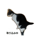 オコマツ（個別スタンプ：7）