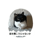 オコマツ（個別スタンプ：10）