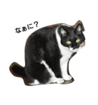 オコマツ（個別スタンプ：11）