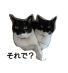 オコマツ（個別スタンプ：12）