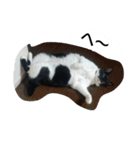 オコマツ（個別スタンプ：14）