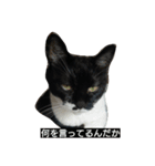 オコマツ（個別スタンプ：24）