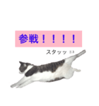 よく使える言葉♪普段やゲーム、様々に。（個別スタンプ：2）