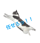 よく使える言葉♪普段やゲーム、様々に。（個別スタンプ：3）