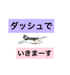 よく使える言葉♪普段やゲーム、様々に。（個別スタンプ：6）