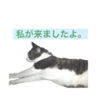よく使える言葉♪普段やゲーム、様々に。（個別スタンプ：8）