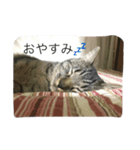 ネギとうなけん（個別スタンプ：4）