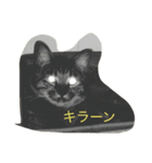 ネギとうなけん（個別スタンプ：8）