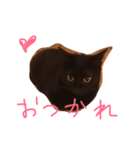 黒猫クロエだよ！ パート2（個別スタンプ：1）