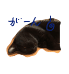 黒猫クロエだよ！ パート2（個別スタンプ：3）