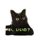 黒猫クロエだよ！ パート2（個別スタンプ：4）