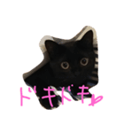 黒猫クロエだよ！ パート2（個別スタンプ：6）